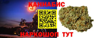 индика Пенза