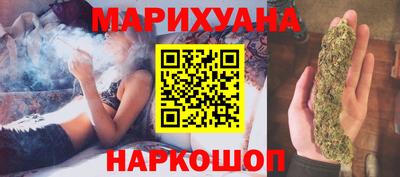 индика Пенза