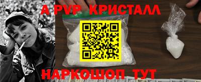 индика Пенза