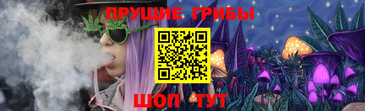 Томск  Галлюциногенные грибы ЛСД  Вход с VPN 